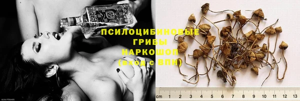 крисы Армянск