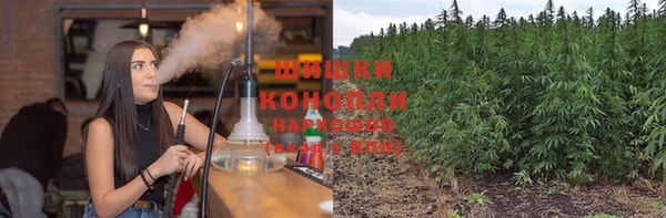 кокс Арсеньев